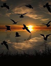 Razao De Viver Beautiful Sunset Beautiful Nature Nature Photography