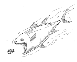 Fish dream explanation — seeing sea fish covered with salt in a dream means lasting richness, because fish are preserved in salt, or it could mean burdens. Big Fish Eat Little Fish Grammar Zone