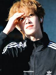 Komunitas Fandom Chen Kaiwen │ Aplikasi KPOP No.1 CHOEAEDOL