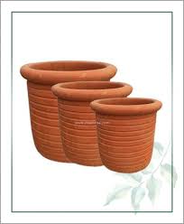 Maybe you would like to learn more about one of these? Terracotta Planters Landscaping Garden Indoor Office Plants Online India