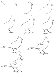 How To Draw A Bird Step By Step Easy With Pictures Bird Drawings Art Drawings Drawings