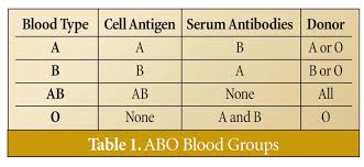 Specific Blood Types Chart For Offspring Blood Type Heredity