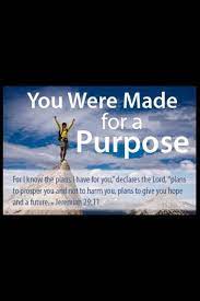Get inspired with these great life quotes. Purpose Driven Life Purpose Driven Life Inspirational Thoughts I Know The Plans