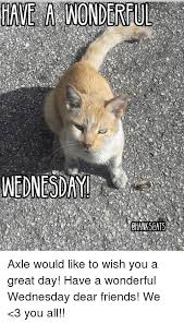 Have A Wonderfuloe Wednesday Chankscats Axle Would Like To Wish You A Great Day Have A Wonderful Wednesday Dear Friends We 3 You All Meme On Esmemes Com