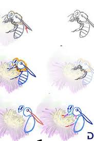 Epingle Sur Dessin