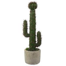There is no type of cactus with a name that is any closer to saroya. Home Decor Saguaro Cactus 10 Inch Bird Fiy Artificial Plant Faux Fake Saguaro Cactus Artificial Potted Plants In Cement Planter Pot For Home Office Decor Indoor Home Geniemensch Com