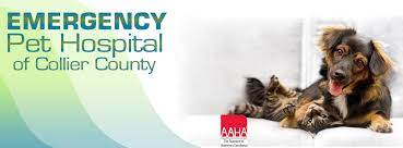 You can see how to get to emergency pet hospital on our website. Emergency Pet Hospital Of Collier County Home Facebook