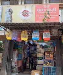 We sell high quality & healthy pet supply in austin and surrounding areas. Top 100 Pet Food Dealers In Mumbai Best Pet Feed Stores Justdial