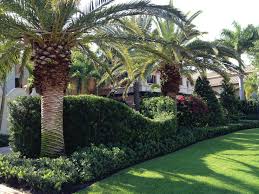 We did not find results for: For The Love Of Hedges