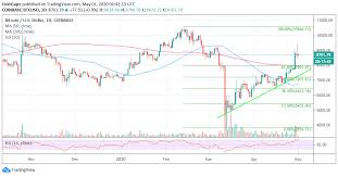 In fact, on the back of bitcoin's recent performances, a rally in the price action of the. Bitcoin Price Rally To 9 500 Takes A Breather But Have You Thought Of Btc Usd At 10 000 Pre Halving