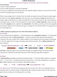 Maybe you would like to learn more about one of these? Cellular Respiration Pdf Free Download