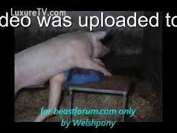 Get it now with curbside pickup or free same day delivery on orders $39+ view details. Man Gets Fucked By Huge Pig Hd Porn Porn Tubes Video Sex Pornbraze Com