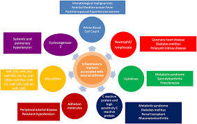Frontiers Inflammatory Markers For Arterial Stiffness In Cardiovascular Diseases Immunology