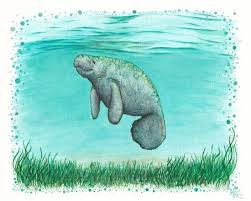 Mossy Manatee Watercolor Canvas Print By Amber Marine Society6 Endangered Species Art Manatee Art Watercolor And Ink