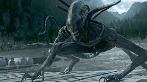 The film opened in the year 2122 ad, with the crew of seven members of the grimy, commercial space. New Game In Development To Be Set In Fox S Alien Movie Franchise Just Push Start
