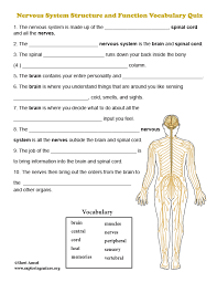 Read on for some hilarious trivia questions that will make your brain and your funny bone work overtime. Nervous System Structure And Function Vocabulary Quiz