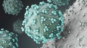 Monitoring human immunodeficiency virus infection. Hiv Infektion Aids So Erkennen Sie Erste Symptome