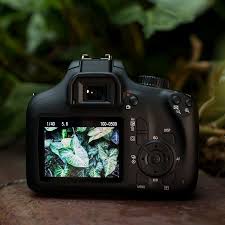 أي معلومات غير موثقة يمكن التشكيك بها وإزالتها. Canon Eos 4000d Ø§Ù„ÙƒØ§Ù…ÙŠØ±Ø§Øª Canon Ø§Ù„Ø´Ø±Ù‚ Ø§Ù„Ø£ÙˆØ³Ø·