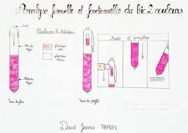 Repetition Generale Arts Appliques Croquis De Produit Art Applique Analyse Fonctionnelle
