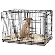 Get 55 dog kennel website templates on themeforest. You Me 2 Door Folding Dog Crate 36 L X 23 W X 24 H Petco