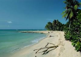 Images photos vector graphics illustrations videos. El Salvador Beaches List All Beaches In El Salvador Beach Playa Travel Dreams