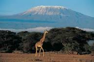 Trekking sul Kilimangiaro: Un percorso irrinunciabile per gli ...