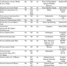 Image result for Enteropogon monostachyos