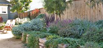 We Know The Landscape Architect And Designer Members Of Our Architect X2f Designer Directo California Native Garden California Native Plants Dry Garden Design