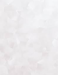 PRINCIPLES AND PROCEDURES OF THE JUSTICE SYSTEM