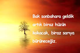 Sarı renk en parlak renktir. Sari Renk Ile Ilgili Sozler Super Guzel Sozler Renkler Guzel Soz Sari