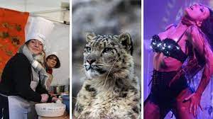 Parc animalier et parc d attraction. Que Faire Ce Week End Du 16 Et 17 Novembre Dans La Marne L Aisne Et