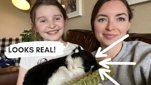 Amazon.com: Perfect Petzzz