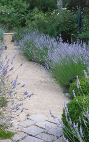 18th Century French Design Trouvais Beautiful Gardens Walkway Landscaping Lavender Garden