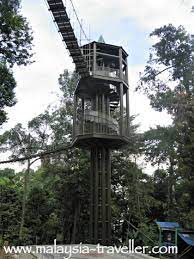 Address forestry department, kl lot 240, bukit nanas, jalan raja chulan 50250 kuala lumpur. Kl Forest Eco Park Bukit Nanas Forest Reserve