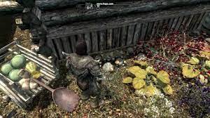 Plant a vegetable garden and you can bring fresh, nutritious veggies to your table. Skyrim Honeyside Garden Experience Youtube