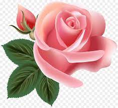 Pink Flower Cartoon png download - 6000*5429 - Free Transparent Centifolia  Roses png Download. - CleanPNG / KissPNG