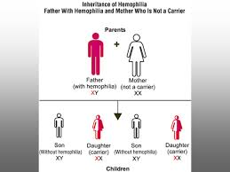 Diseases And Karyotypes Ppt Download