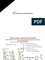 Some of the worksheets for this concept are dna structure and function work answers, dna structure work answers, dna structure practice answer key, dna mutations practice answers key pdf, km 754e 20151221092331, dna replication protein synthesis answers, dna double helix key, section 12 2 chromosomes and dna replication work. Practice Questions For Dna Replication And Repair Dna Replication Dna