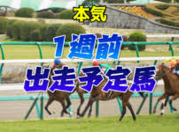 エルムステークス2014出走予定馬（クリノスターオー1番人気の予想オッズ） (2015年1月 1日 17:21) ＜エルムs2014予想オッズ・騎手＞ クリノスターオー 5.2倍ソロル 5.6倍ブライトライン 6.0倍イン ソロル・ブライトライン出走!エルム. ã‚¨ãƒ«ãƒ ã‚¹ãƒ†ãƒ¼ã‚¯ã‚¹ 2021 äºˆæƒ³ã‚ªãƒƒã‚º å‡ºèµ°äºˆå®šé¦¬çŸ­è©•