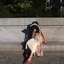 Germany Faces Urgent Calls to Boost Heat Protection Amid Rising Extreme Heat Risks