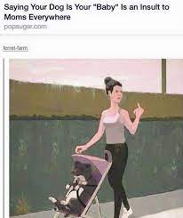 You Ve Actually Stopped Caring About What Other People Think Because Your Pet Is Your Child Tumblr Funny Funny Tumblr Posts Funny Babies