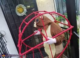 A hamster wheel will allow your hamster to run around and exercise even if there isn't a lot of room in its cage. Hamster In His Wheel Costume Original Diy Costumes