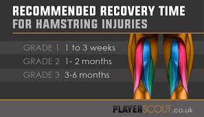 Hamstring injury, also known as a pulled hamstring is defined as an excessive stretch or tear of muscle fiber and related tissues. Football Hamstring Injury The Ultimate Guide Playerscout
