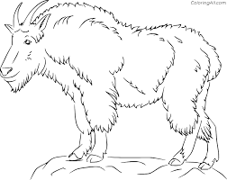 Maybe you would like to learn more about one of these? Mountain Goat Coloring Pages Coloringall
