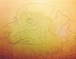 Artist Uses Shower Hair To Create Funky Drawings How To Make Drawing Drawings Artist