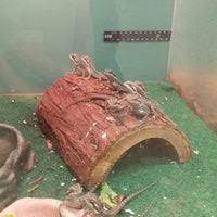 2.9 from | 7 reviews. All Around Austin Exotic Pets North Burnet 9327 Burnet Rd