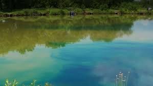 Check spelling or type a new query. Blue Dye For Lakes Control Algae Aquatic Weeds With Dyofix Pond Blue