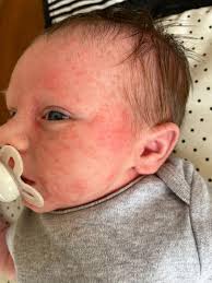 My daughters brekky this morning 😅😅😅