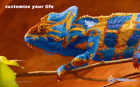 Pin By Hfm Advisors On Hfm Branding Stuff To Buy Multi Color Embroidered Friendship Bracelet
