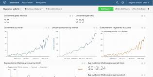 Adding Charts To Dashboards Magento Business Intelligence